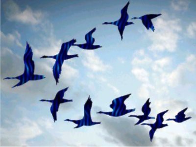 Giấc mơ hoà bình vẫn là trên hết